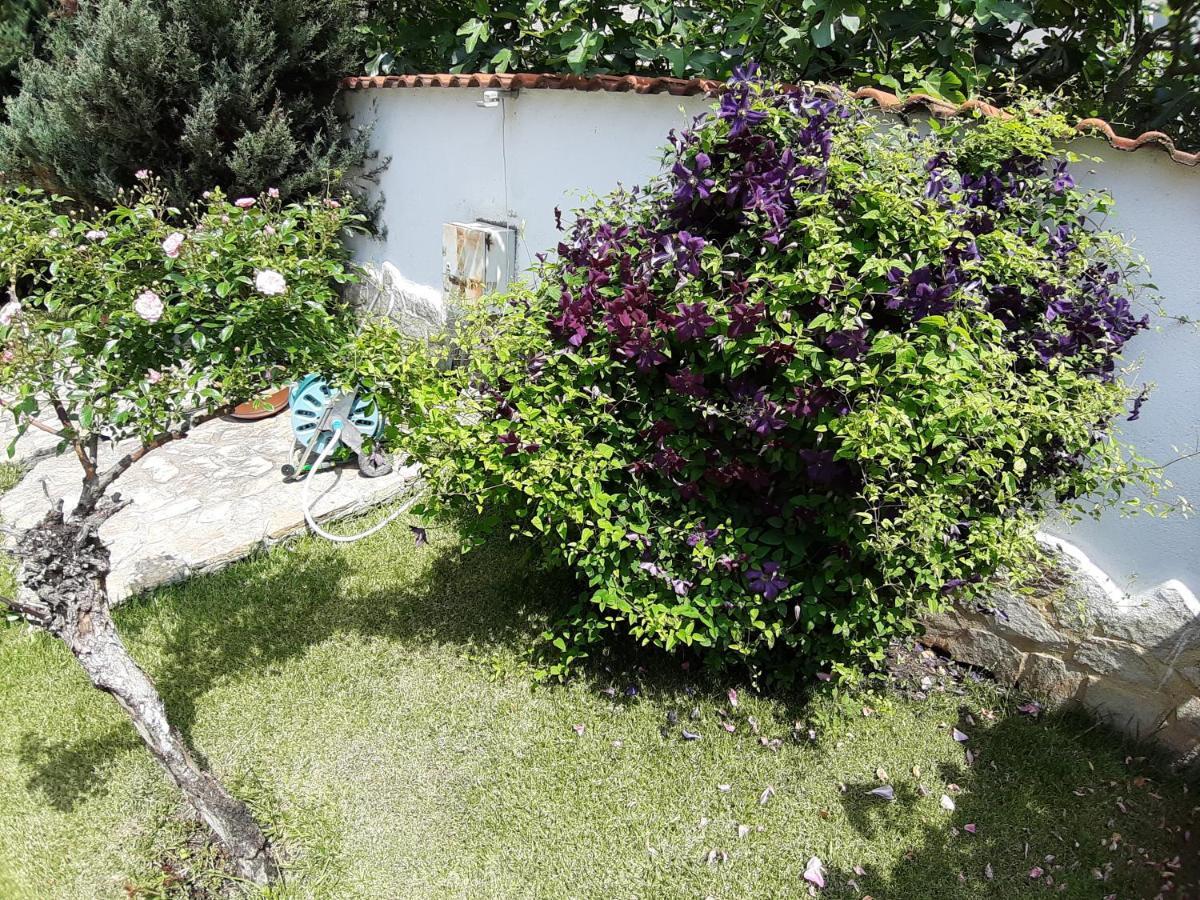Guest Rooms Deva Burgas Exterior photo